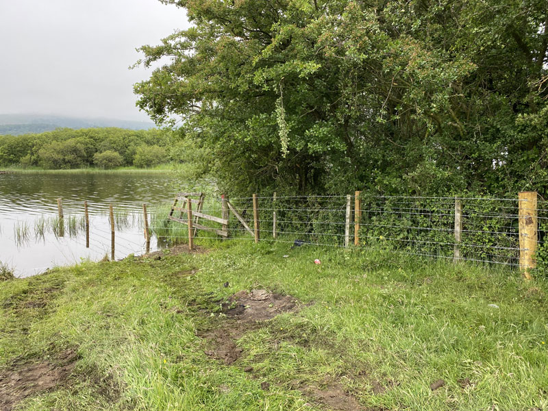 Agricultural groundworking in Kelty | Wild Meadow 2021 gallery image 37