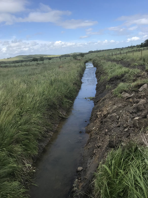 Agricultural groundworking in Kelty | Wild Meadow 2021 gallery image 5